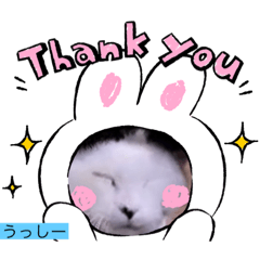 [LINEスタンプ] ガッシー1階ねこーず2021冬バージョン