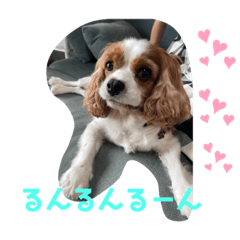 [LINEスタンプ] おひめ2