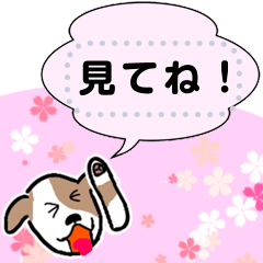 [LINEスタンプ] Junjunの鳥、タコ、スタンプ。メッセージ版