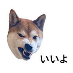 [LINEスタンプ] 爆吠え犬 めい