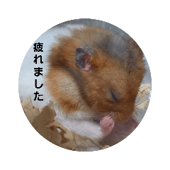 [LINEスタンプ] ハムスター・デグーの日常