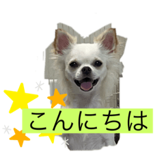 [LINEスタンプ] ころたんスタンプパート2