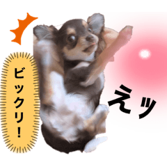 [LINEスタンプ] 結ちゃん。3