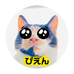 [LINEスタンプ] ♪こけニャンスタンプ♪