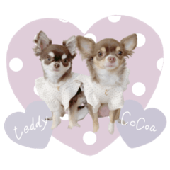 [LINEスタンプ] ♡ここあちゃん＆テディちゃん