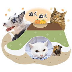 [LINEスタンプ] 犬、猫、モルモット仲良し家族【冬】