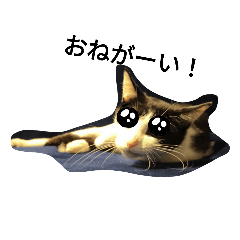 [LINEスタンプ] 猫のるうちゃん4