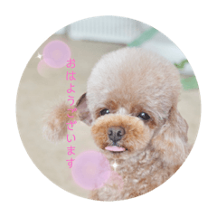 [LINEスタンプ] 来音の看板犬・ひなののスタンプ②