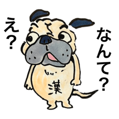 [LINEスタンプ] パグのダイキチくんと愉快な仲間たち