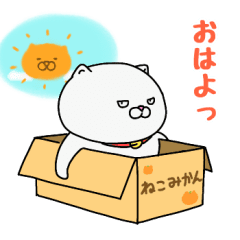 [LINEスタンプ] 動く！パツパツ猫 1