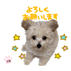 [LINEスタンプ] ぺろ_②