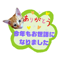 [LINEスタンプ] てばさんのスタンプ2