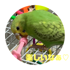 [LINEスタンプ] ゆきちゃん宅スタンプ9