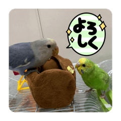 [LINEスタンプ] ゆきちゃん宅スタンプ5