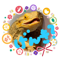 [LINEスタンプ] フトアゴ我太郎のゆるゆる   スタンプ3