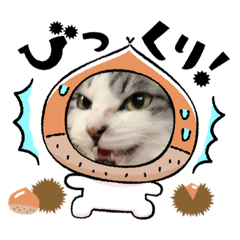 [LINEスタンプ] ♡コイケヤスタンプ♡