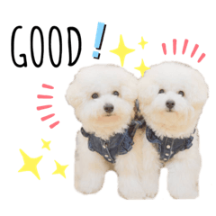[LINEスタンプ] うちの子スタンプ(aoi)
