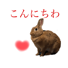 [LINEスタンプ] うさぎのmone たんのルンルンスタンプ