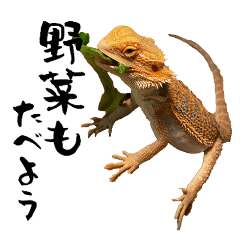 [LINEスタンプ] 僕はつとむ