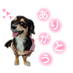 [LINEスタンプ] レイコの部屋