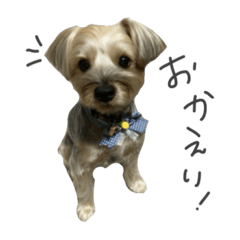 [LINEスタンプ] せなくん②