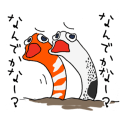 [LINEスタンプ] チン先生とニシキ君。その1