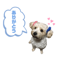 [LINEスタンプ] ふくくんスタンプ4