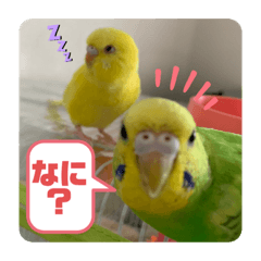 [LINEスタンプ] ゆきちゃん宅スタンプ7