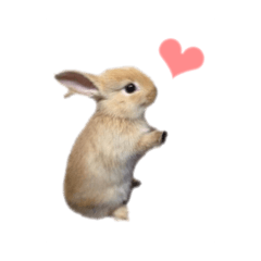 [LINEスタンプ] 佐藤家のうーちゃん2