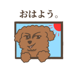 [LINEスタンプ] 顔が濃いトイプードル