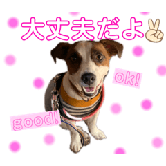 [LINEスタンプ] すずのほのぼのスタンプ