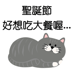[LINEスタンプ] 毎日がいい日です˙灰色のぶち猫