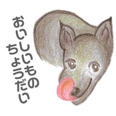 [LINEスタンプ] まっくろ犬あめくん