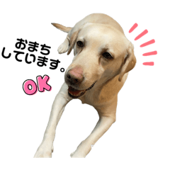 [LINEスタンプ] エミプクの日常会話①