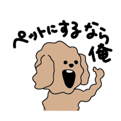 [LINEスタンプ] 俺トイプードル