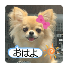 [LINEスタンプ] ムギムギスタンぷ