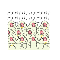 [LINEスタンプ] あやのもちスタンプ