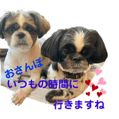 [LINEスタンプ] クロとくぅちゃん