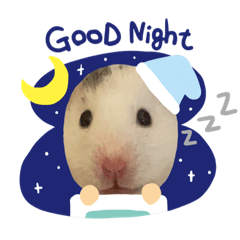 [LINEスタンプ] ちーちー（ハムスター）スタンプ