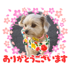 [LINEスタンプ] マリンのスタンプです♡