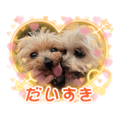 [LINEスタンプ] ききょう＆ポッケNO.5