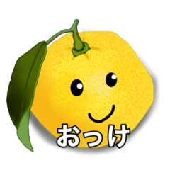 [LINEスタンプ] リアル柚スタンプ