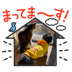 [LINEスタンプ] シュウ＆テン3