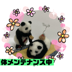 [LINEスタンプ] 鍼灸パンダ