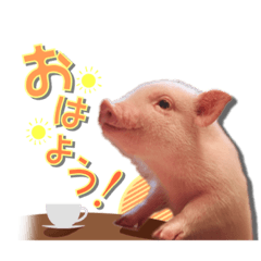 [LINEスタンプ] pigちゃんスタンプ☆