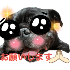 [LINEスタンプ] 黒パグ♡ブサかわ むースタンプ2