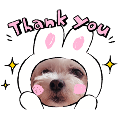 [LINEスタンプ] コロニキの顔はめ