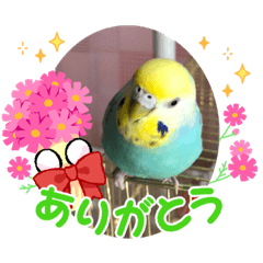 [LINEスタンプ] トコちゃんとウサギのハイミー