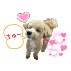 [LINEスタンプ] モコ蔵