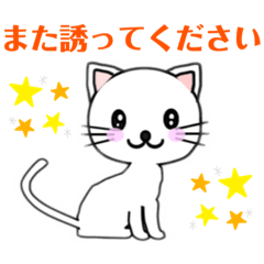[LINEスタンプ] 【 確認 待ち合わせ 連絡 】☆ねこ ネコ 猫の画像（メイン）